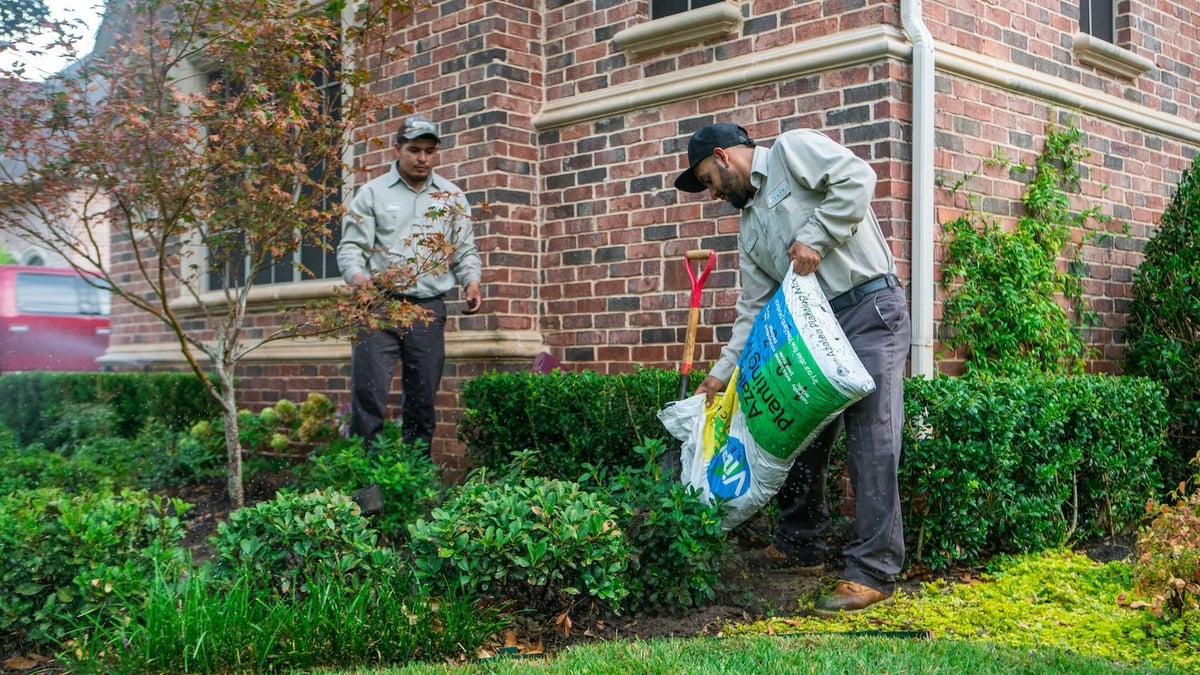 What is the Cost of Shrub Removal and Replacement in North Texas?